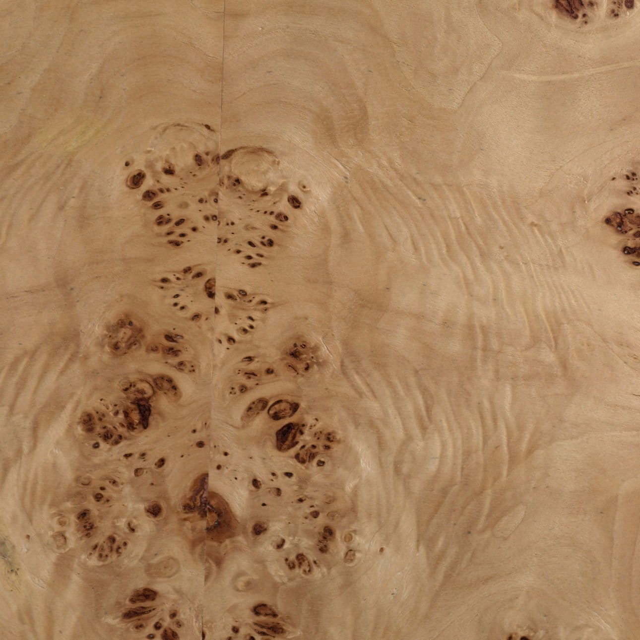 Lyndon Leigh Paulette Coffee Table Coffee Tables dovetail-DOV5485-BURL