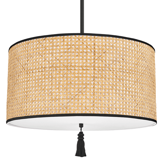 Mitzi Dolores Pendant Lighting mitzi-H520703-SBK
